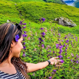 Valley of Flowers